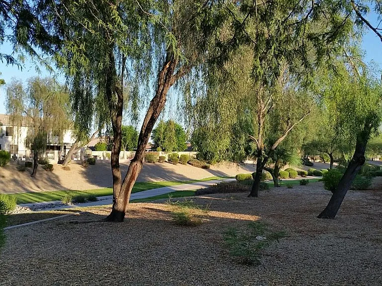 BACK YARD GREENBELT