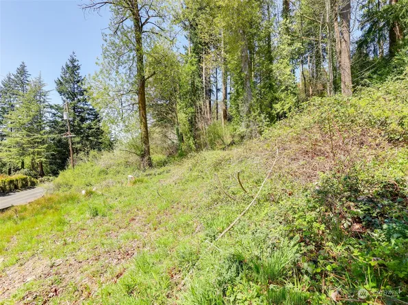 0 Madrona Drive, Longview, WA 98632