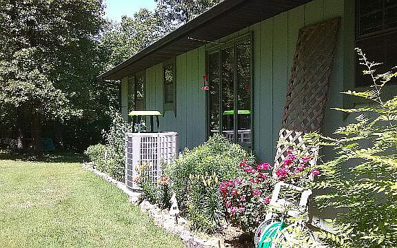 Lovely flower garden