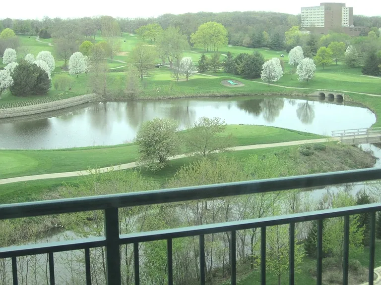 6420 Double Eagle Dr #603 — Photo 16