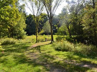 1391-V/L N Cleveland Massillon Rd, Akron, OH 44333