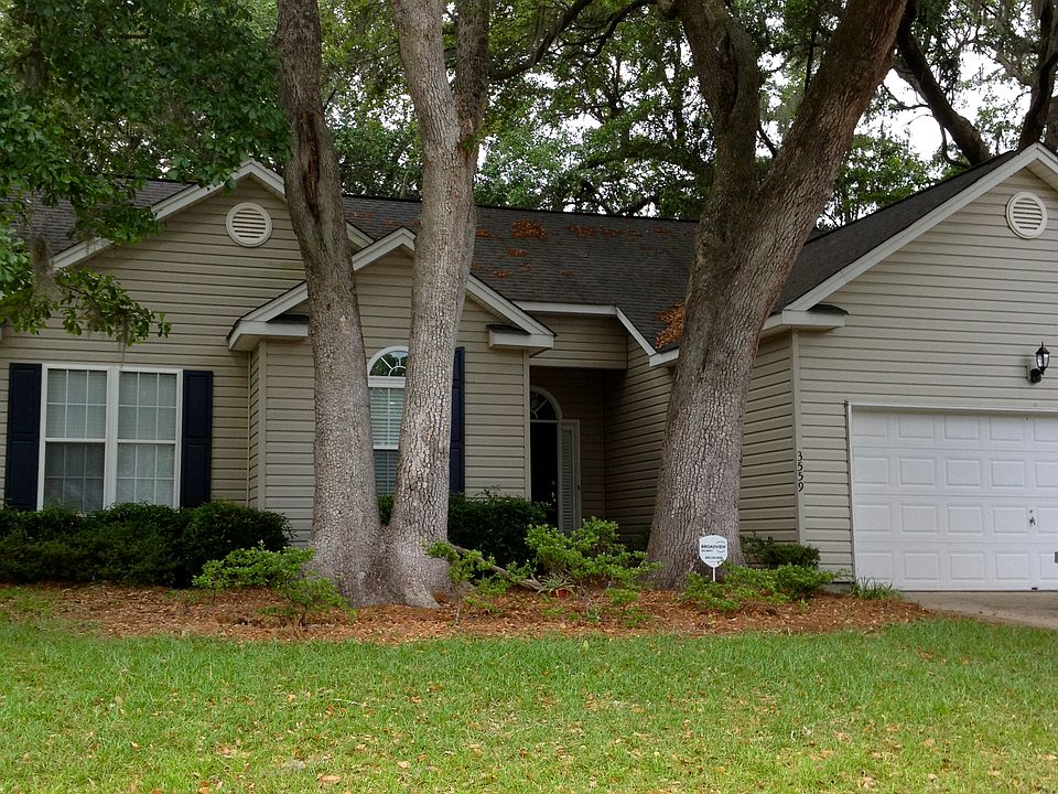 Beautiful Live Oaks