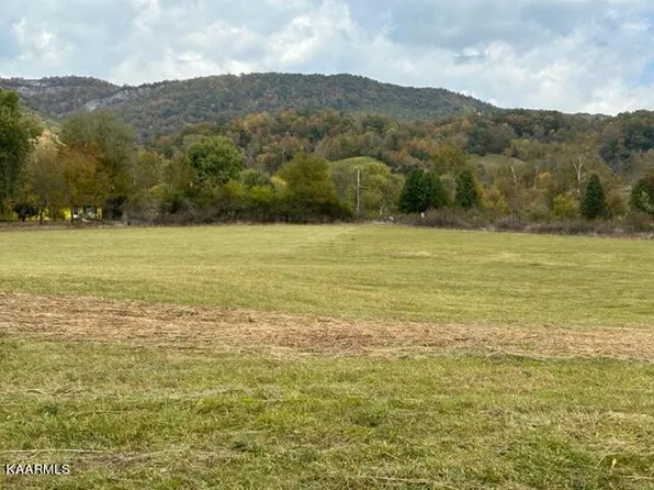 Independence Rd, Rose Hill, VA 24281