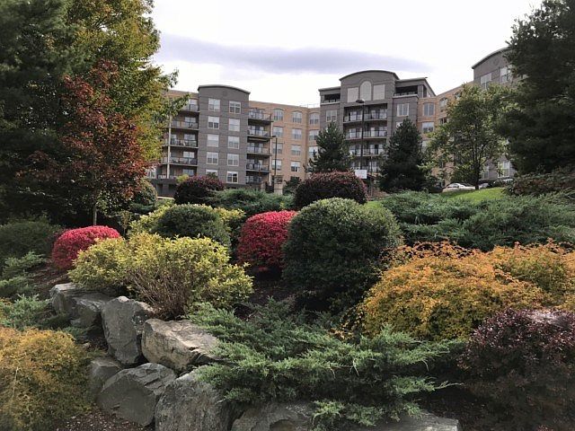 1st image of 36 Southgate Dr #416