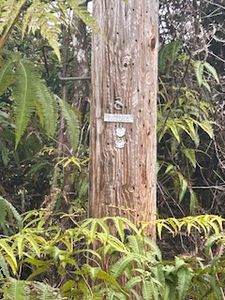 Pa Alii St Lot 1877, Volcano, HI, 96785