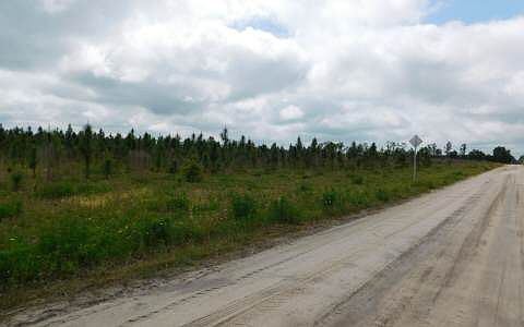 2nd image of 209TH Road