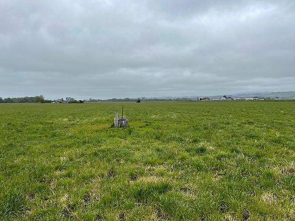 2nd image of 1561 Grizzly Bluff Rd