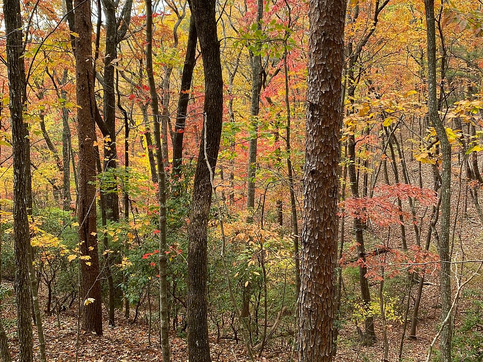 2nd image of 66 Yanegwa Path Lot 0