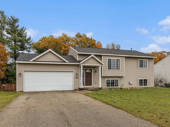 605 Birch Run St, Howard City, MI 49329