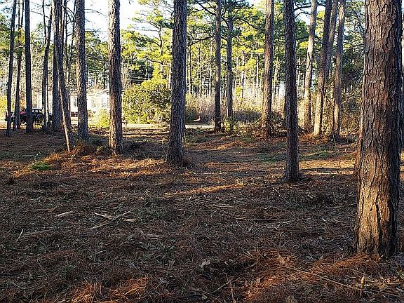 Photo from rear Left