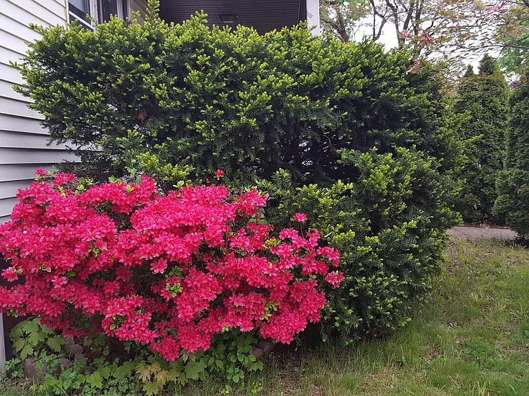 208 Trumbull Ave — Photo 13