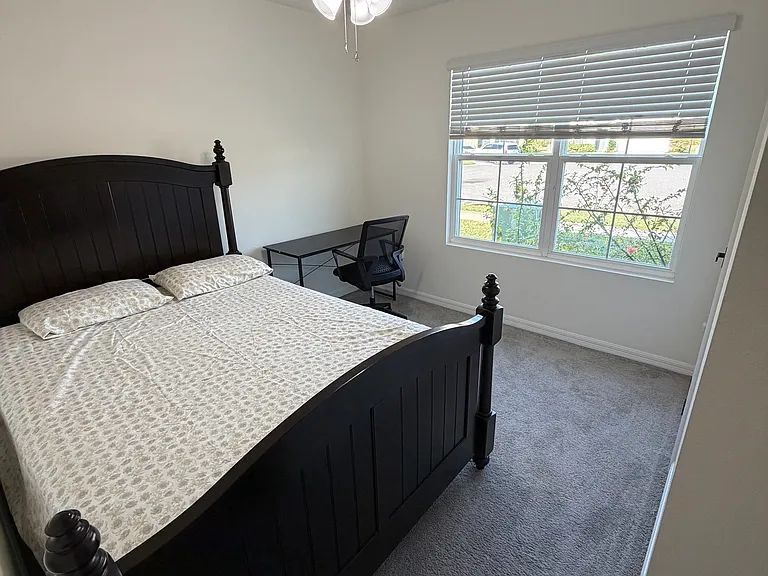 33370 Apricot Tree Ct — Photo 10