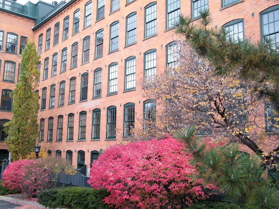 1st image of 429 N Franklin St #303
