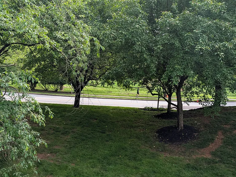 16 Rampart Dr #16 — Photo 91