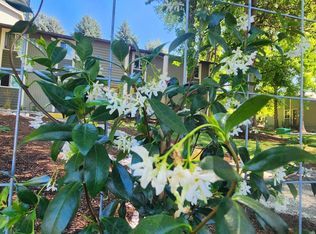 Jolene Apartments, Portland, OR 97224