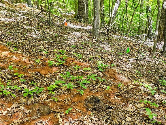 4th image of 0 Hickory Springs Rd #12