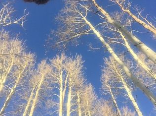 2373 Val D Isere Cir, Steamboat Springs, CO 80487