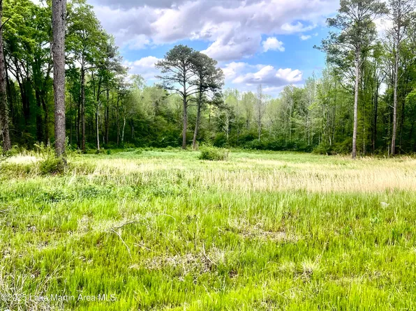 8028 Tallapoosa St, Notasulga, AL 36866