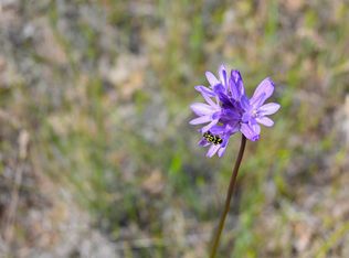 LOT 450 Erick Ln, Montague, CA