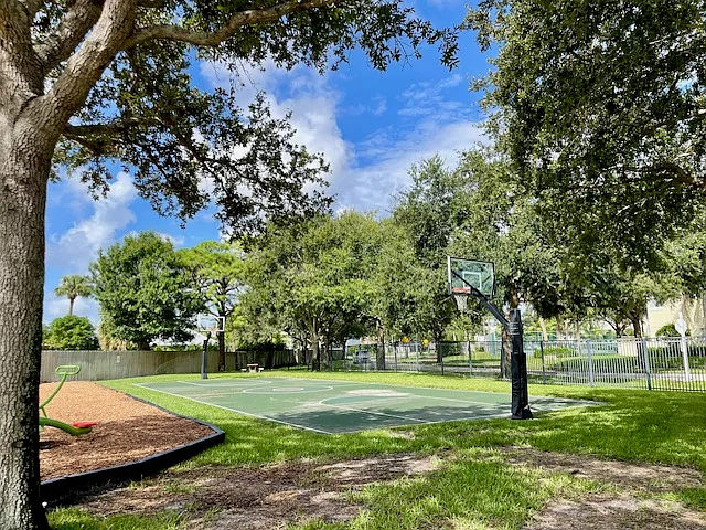 community basketball court