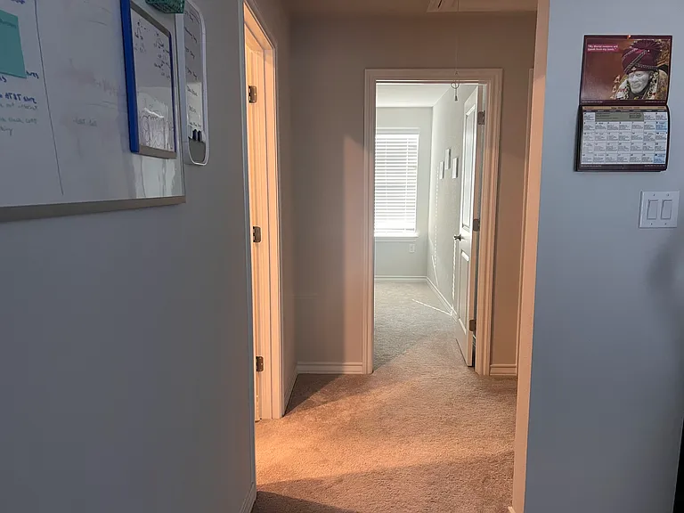 1610 Purple Martin Dr — Photo 19