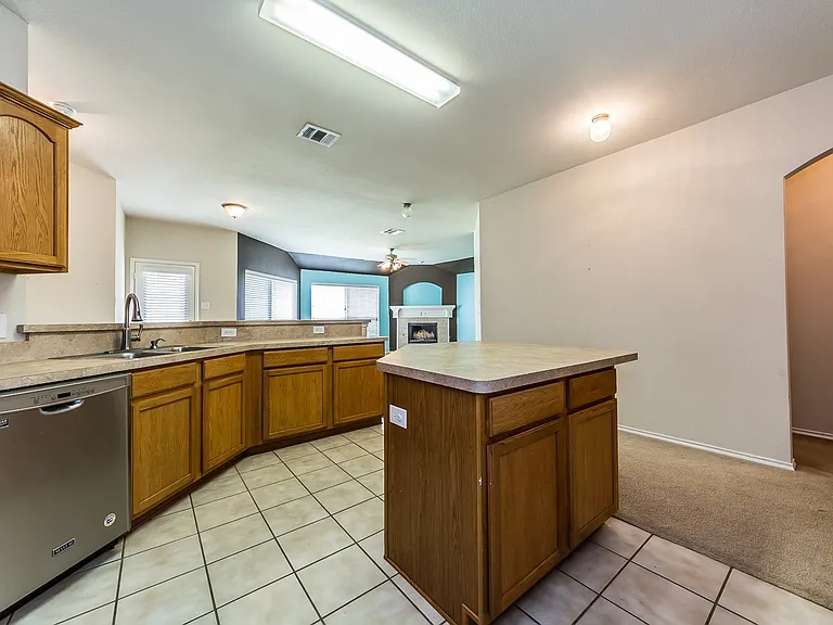 9924 Wild Ginger Dr — Photo 17