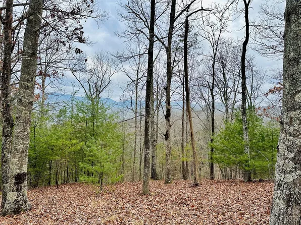 275 Raccoon Run Lot 24, Marshall, NC 28753