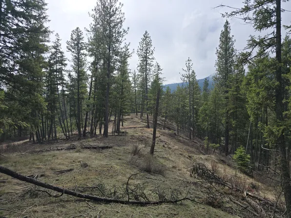S Basin Rd, Colville, WA 99114