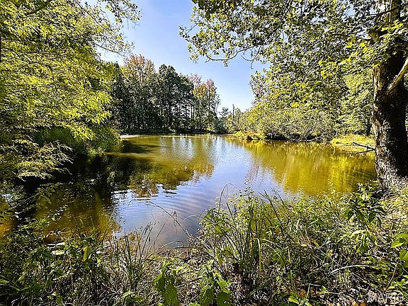 2nd image of 15634 County Road 519
