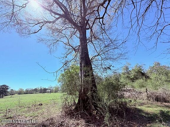 5th image of Sanders Rd