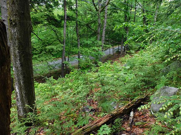 2nd image of 221 Texas Hill Road Lot 221-60-001