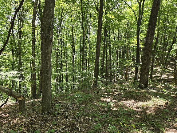 2nd image of 16 Seals Hollow Rd