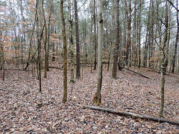 3rd image of 0 Covington Rd Lot 1B