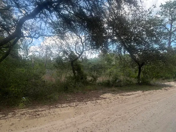 0 NE 233RD Place, Fort McCoy, FL 32134