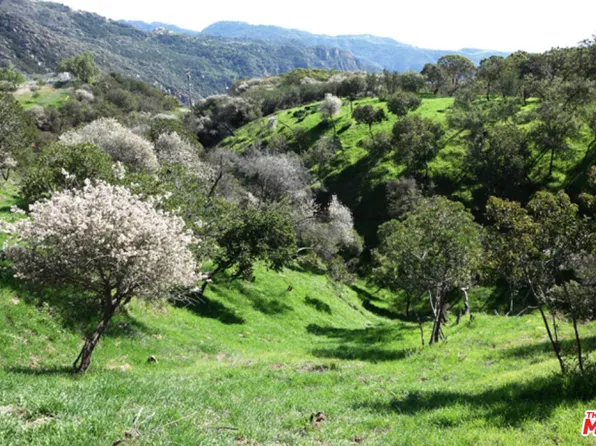 524 Moonrise Dr, Malibu, CA 90265