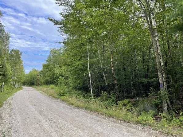 Lot 14 Eleanor Mae Road, Deblois, ME 04622