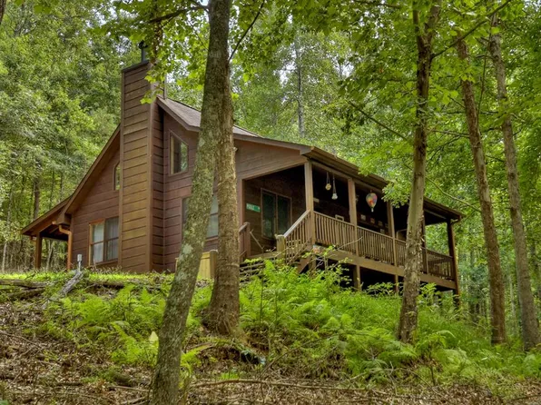 170 Spring Creek Rd, Blue Ridge, GA 30513
