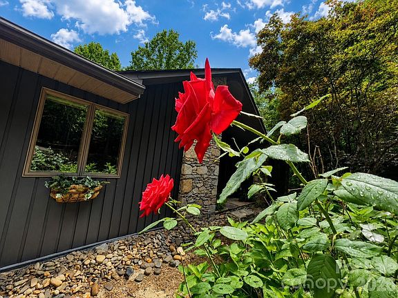 3rd image of 1105 High Vista Dr