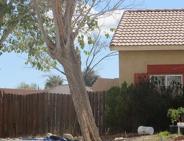 2nd image of 10873 Tolliver St