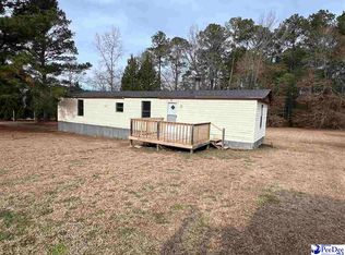 308 McCowns Millpond Rd, Darlington, SC 29540