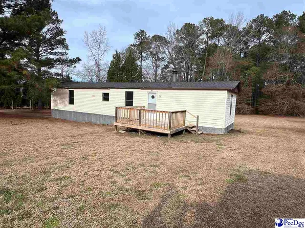 308 McCowns Millpond Rd, Darlington, SC 29540