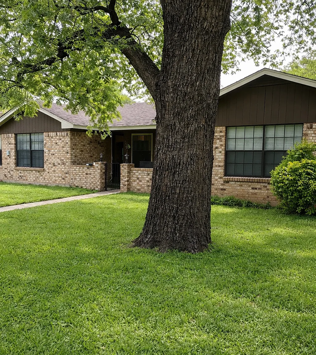 2 bed, 1100 sqft, $1,550 — Photo 2