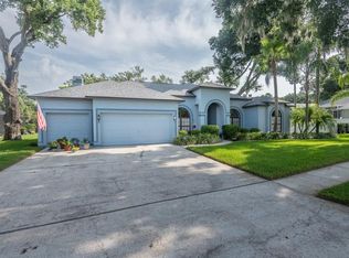 4704 Stone Hollow Ct, Valrico, FL 33596
