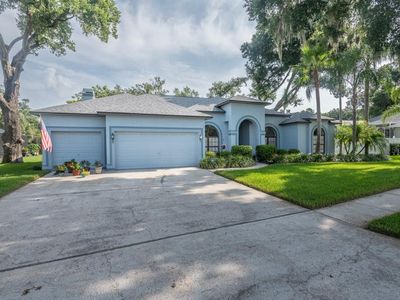 4704 STONE HOLLOW COURT, Valrico, FL, 33596
