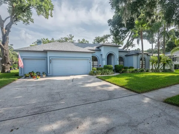 4704 Stone Hollow Ct, Valrico, FL 33596