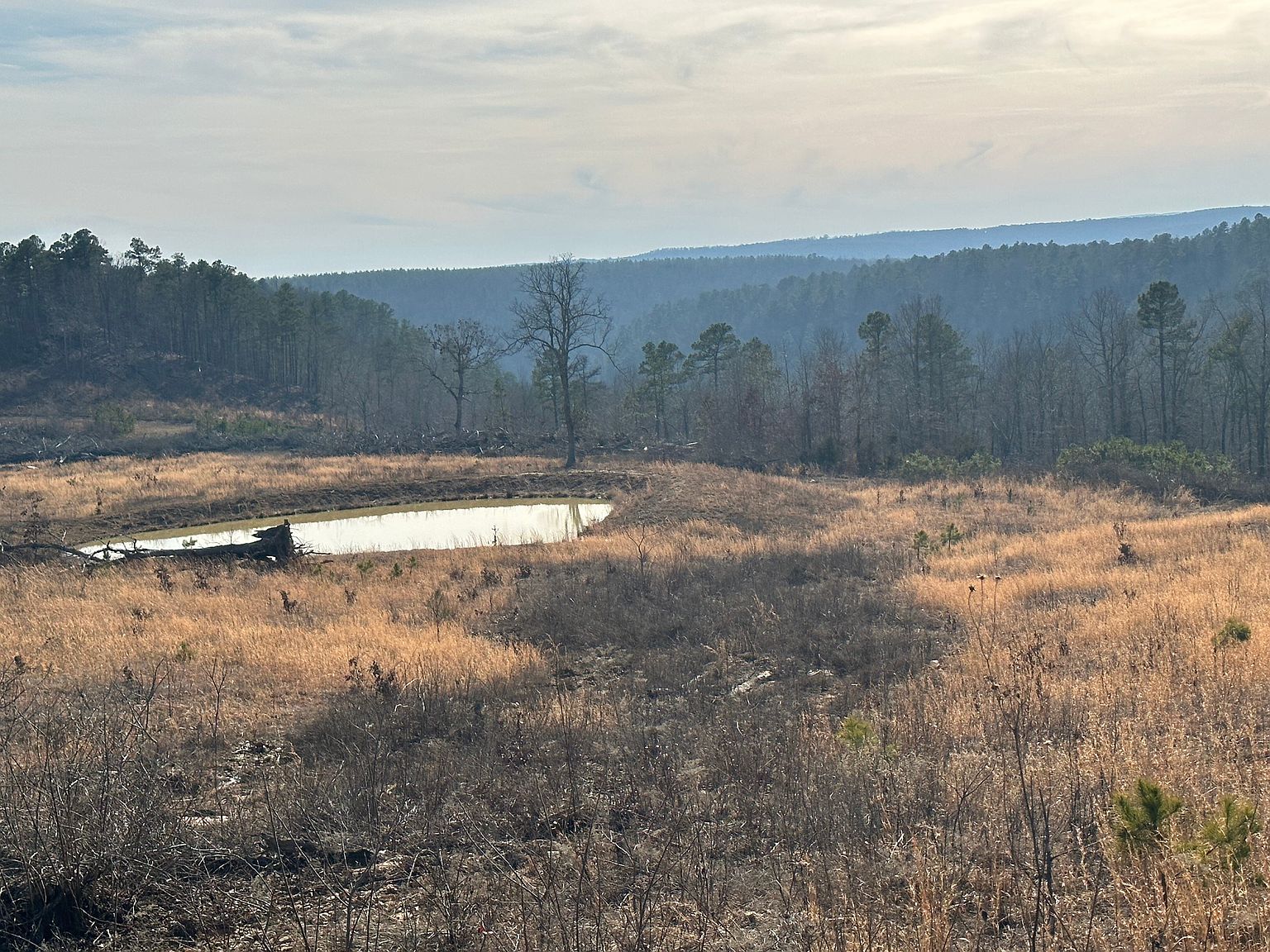 0 Jimmy Creek Rd, Fox, AR 72051 Zillow