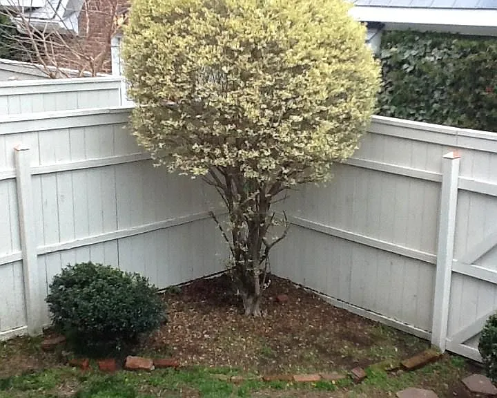201 N Davis Ave — Photo 2