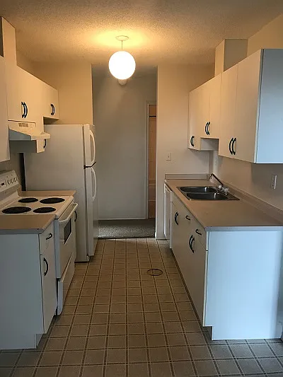 Original Kitchen 1
