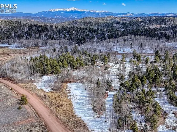 654 Aspen Way Dr, Florissant, CO 80816
