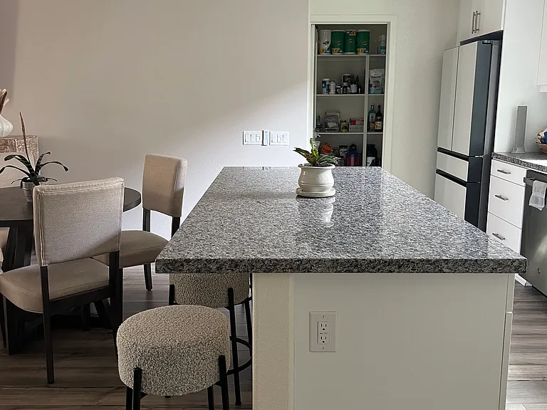 8258 Spirit St — Photo 6
